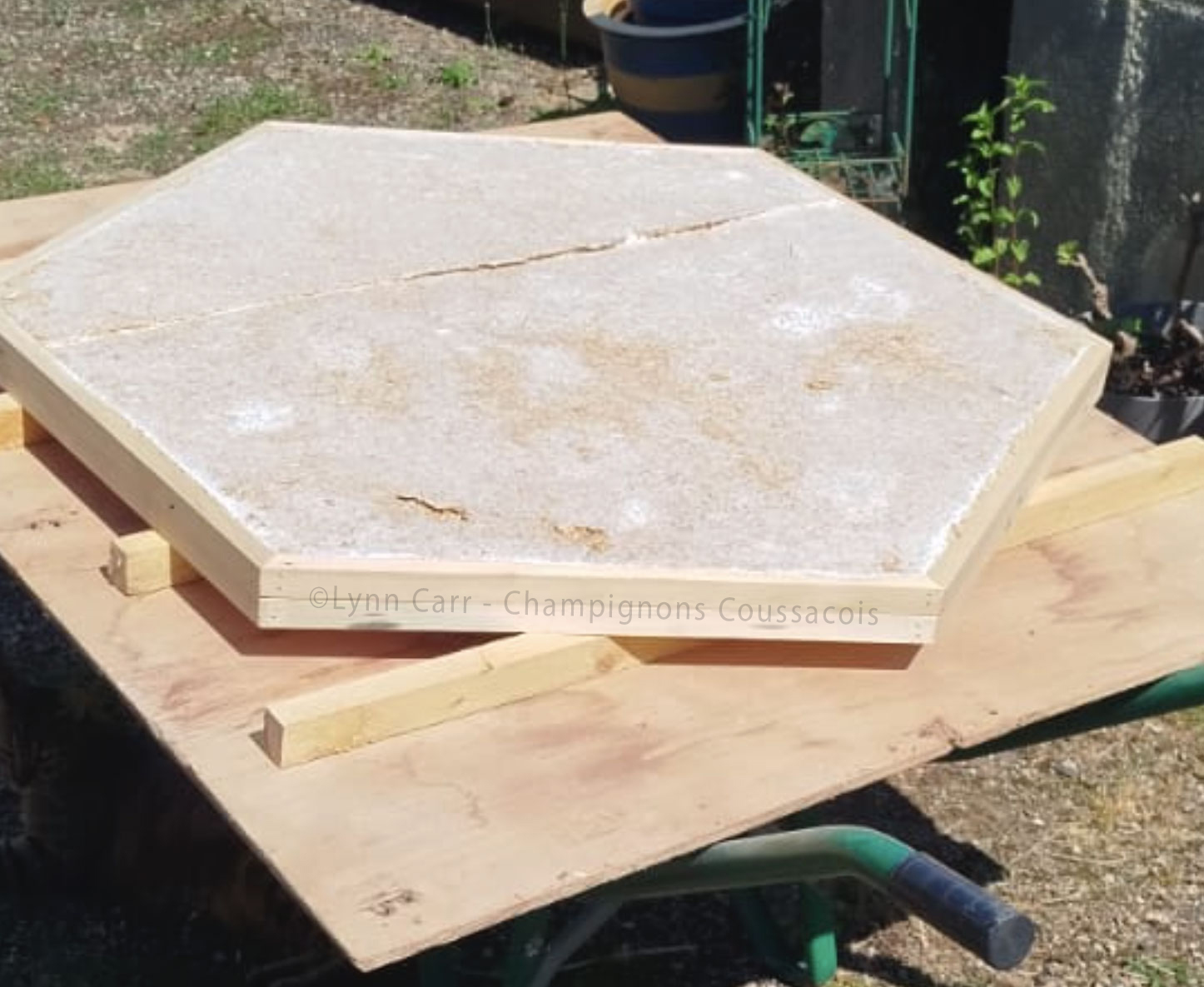 Mycelium workshop Pleaux 2025