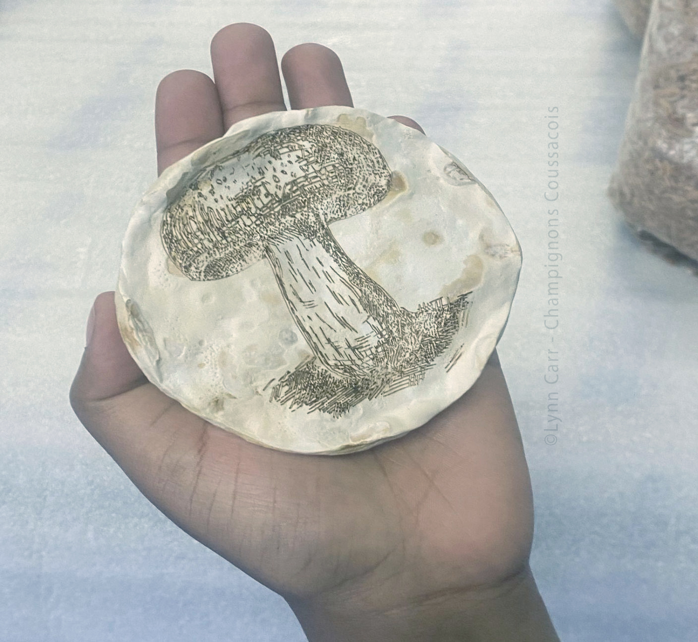 Mycelium & Biomaterials