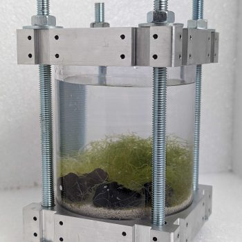 PXL_20230616_144652487.MP (1)